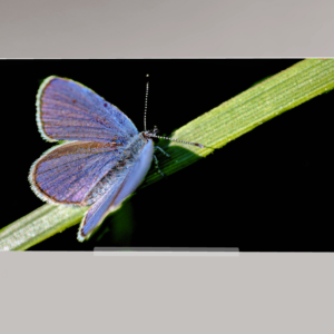 Cadre de bureau verre acrylique